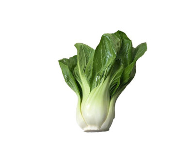 BREDE SONGE ILE MAURICE