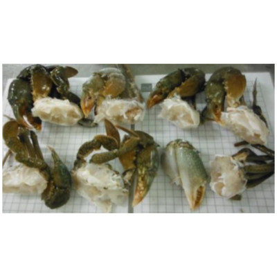 CRABE CRU CALIBRE P 1kg GEL PECHE