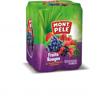 NECTAR FRUITS ROUGES PACK 50clx4 MONTPELE