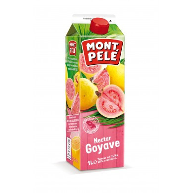 NECTAR GOYAVE BRIQUE 1L MONTPELE