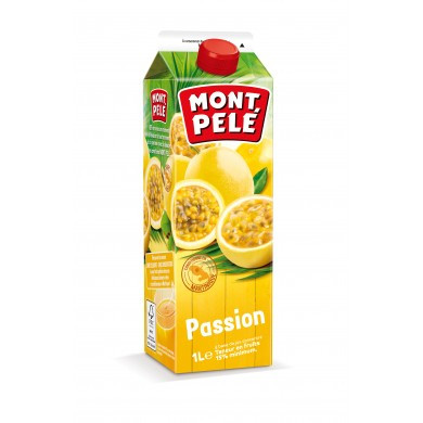 NECTAR PASSION 1L BRIQUE MONTPELE