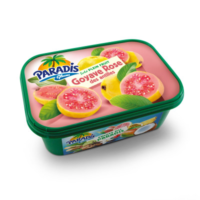 PARADIS GOYAVE 1L