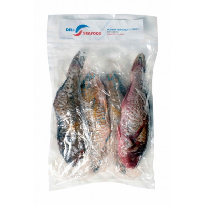 PERROQUET ENTIER VIETNAM 1kg6x5