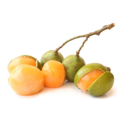 QUENETTE