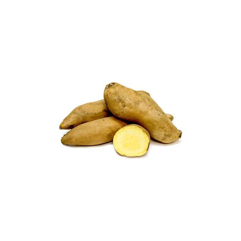 Patate Douce Jaune Egypte