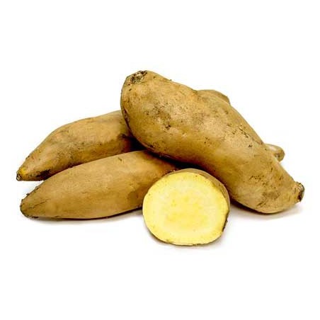 Patate Douce Jaune Egypte